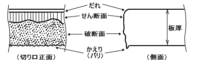 せん断面